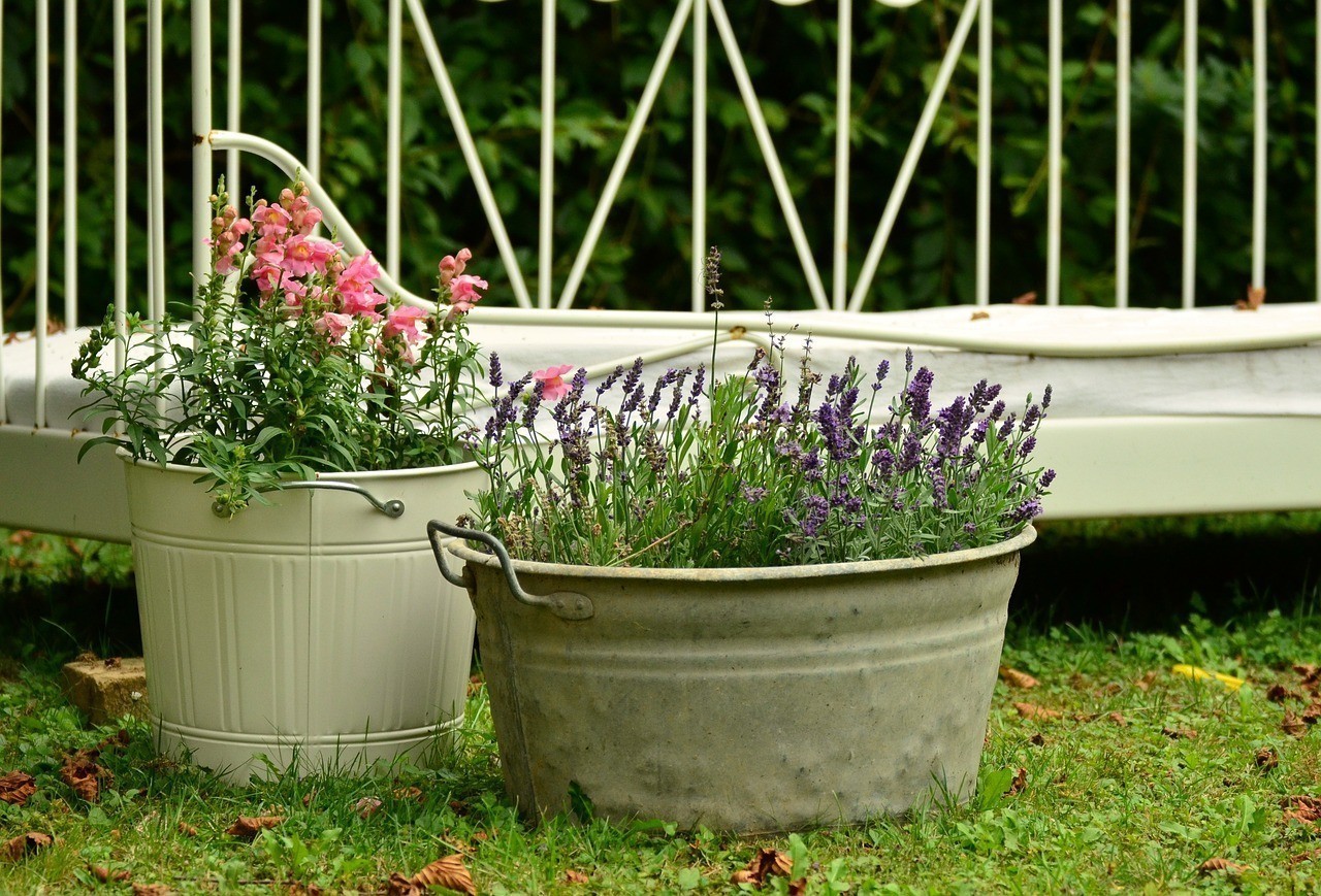 豐澤區(qū)霞聯(lián)花卉種植場（豐澤區(qū)霞聯(lián)花卉種植場地址）
