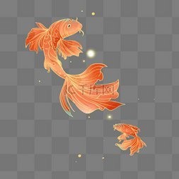 廣州龍魚網(wǎng)具體是做什么？ 廣州龍魚網(wǎng)具體是做什么？ 2025長城杯龍魚大賽 第4張
