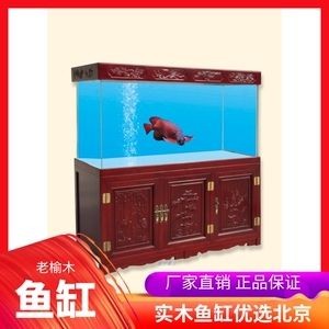 龍魚躺在魚缸底還能活嗎：龍魚躺在魚缸底還能活嗎龍魚躺在魚缸底還能活嗎 龍魚躺在魚缸底還能活嗎：龍魚躺在魚缸底還能活嗎龍魚躺在魚缸底還能活嗎 龍魚百科 第2張