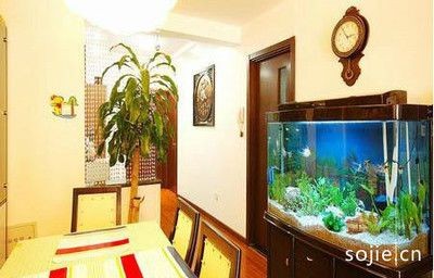 魚缸擺放與家居風(fēng)水關(guān)系：魚缸擺放與家居風(fēng)水之間的關(guān)系 魚缸擺放與家居風(fēng)水關(guān)系：魚缸擺放與家居風(fēng)水之間的關(guān)系 魚缸百科 第3張