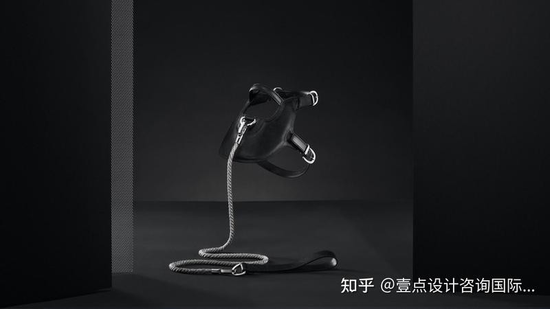 寵物行業(yè)創(chuàng)新獎有哪些獲獎項目？