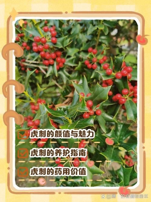 虎刺魚圖片最簡單
