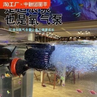 龍魚缸沖浪泵一般開多久：如何改善龍魚活力不足的判斷方法 龍魚缸沖浪泵一般開多久：如何改善龍魚活力不足的判斷方法 龍魚百科 第2張