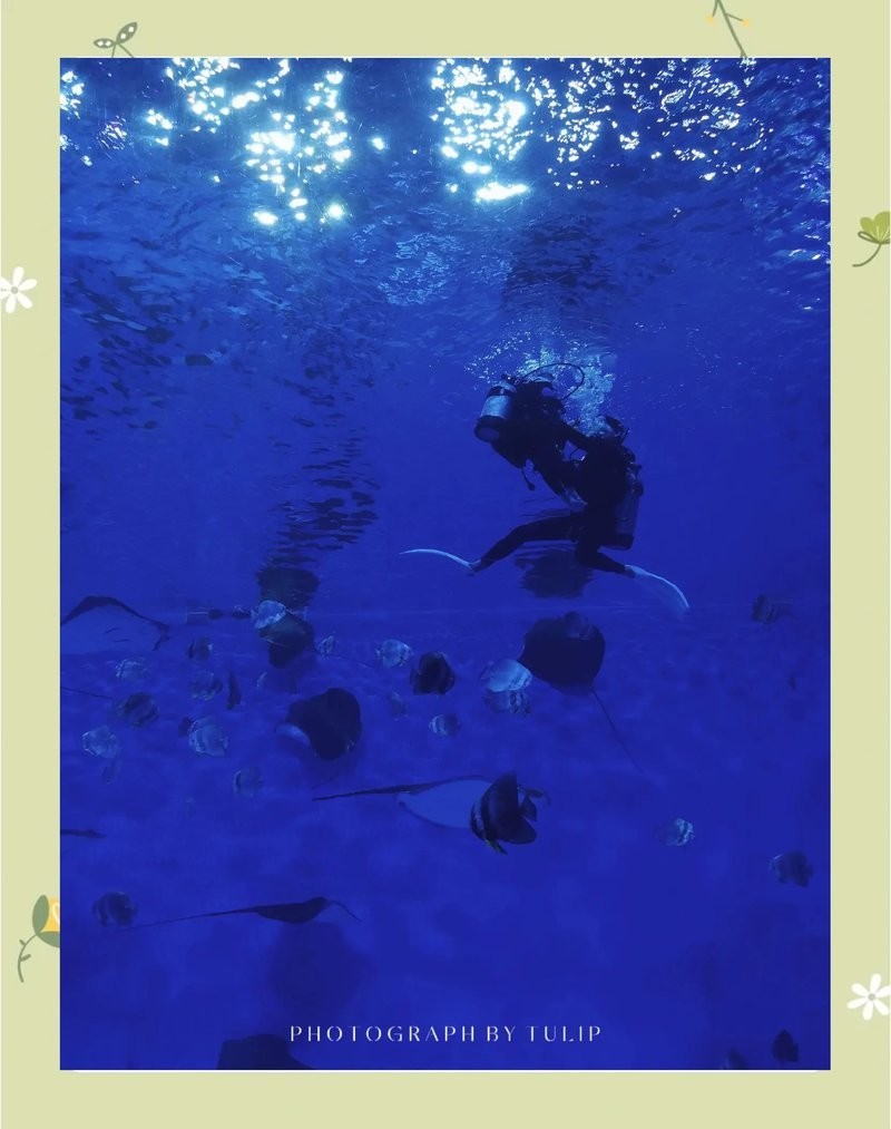 龍虎匯水族館的營業時間是？