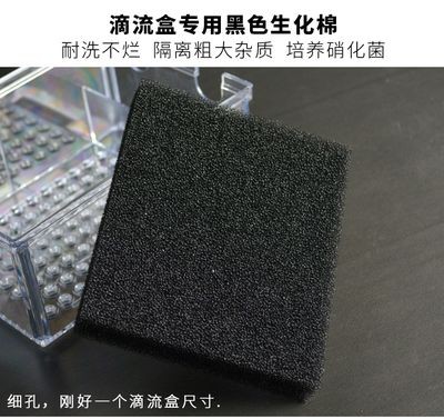 魚缸過濾材料的選擇：如何選擇魚缸過濾材料