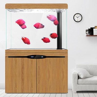漢霸魚缸的聯系方式是什么:水族箱養護技巧分享漢霸魚缸養護技巧分享水族箱養護技巧分享 魚缸百科 第3張 漢霸魚缸的聯系方式是什么:水族箱養護技巧分享漢霸魚缸養護技巧分享水族箱養護技巧分享 漢霸魚缸的聯系方式是什么:水族箱養護技巧分享漢霸魚缸養護技巧分享水族箱養護技巧分享 魚缸百科 第3張