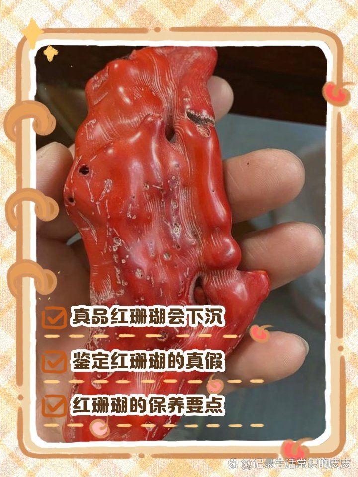 紅珊瑚真品放在水里會怎樣