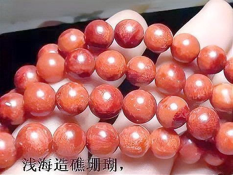 紅珊瑚真品放在水里會怎樣