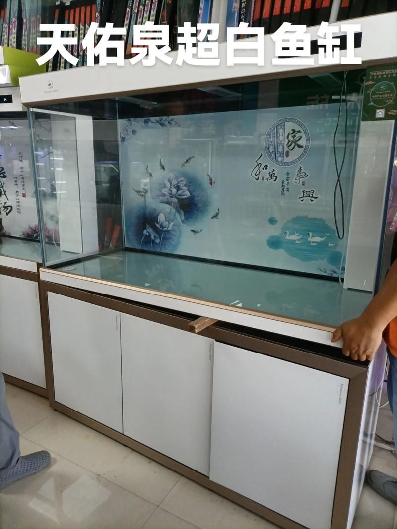 周魚龍缸的價格范圍 周魚龍缸的價格范圍 2025長城杯龍魚大賽 第4張