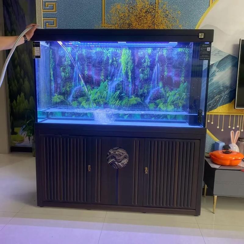 周魚龍缸的價格范圍 周魚龍缸的價格范圍 2025長城杯龍魚大賽 第6張