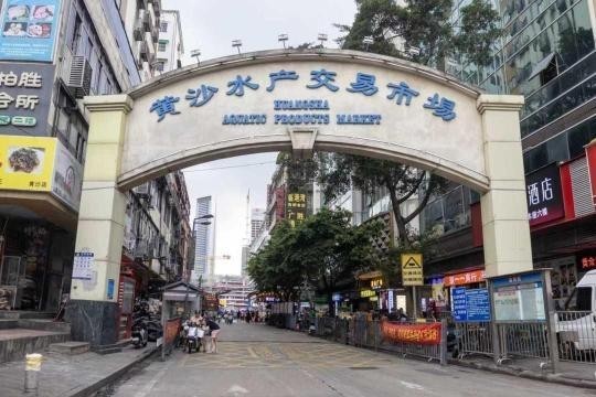 廣州最大的賣魚市場在哪里 廣州最大的賣魚市場在哪里 2025長城杯龍魚大賽 第8張