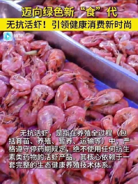 濰坊市無抗活蝦的市場反響如何？ 濰坊市無抗活蝦的市場反響如何？ 2025長城杯龍魚大賽 第5張