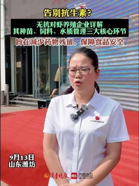 濰坊市無抗活蝦的市場反響如何？ 濰坊市無抗活蝦的市場反響如何？ 2025長城杯龍魚大賽 第1張