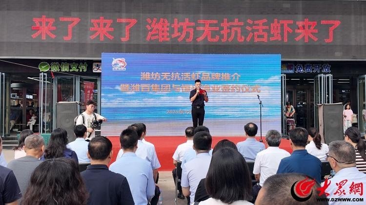 濰坊市無抗活蝦的市場反響如何？ 濰坊市無抗活蝦的市場反響如何？ 2025長城杯龍魚大賽 第4張