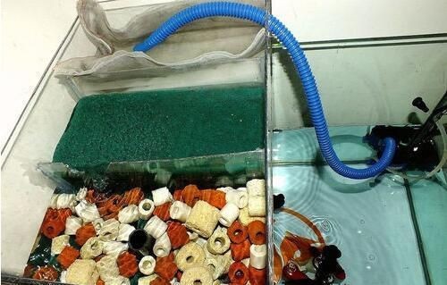 熱水器加熱過的水可以用于給魚缸換水嗎？：使用熱水器加熱過的水換水時需要考慮到水的溫度、水質清潔度等因素