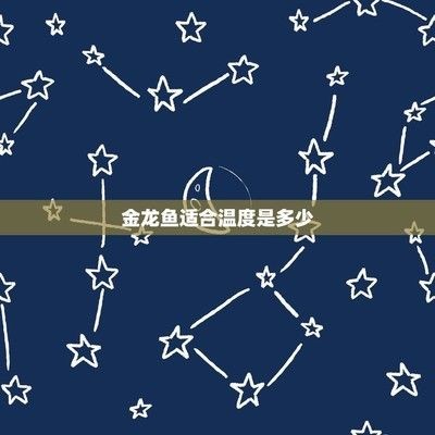 金龍魚的魚缸里的水23度7天能活嗎為什么，金龍魚在23度水溫下7天內能存活7天，但需要注意水溫穩定 金龍魚的魚缸里的水23度7天能活嗎為什么，金龍魚在23度水溫下7天內能存活7天，但需要注意水溫穩定 魚缸百科 第5張