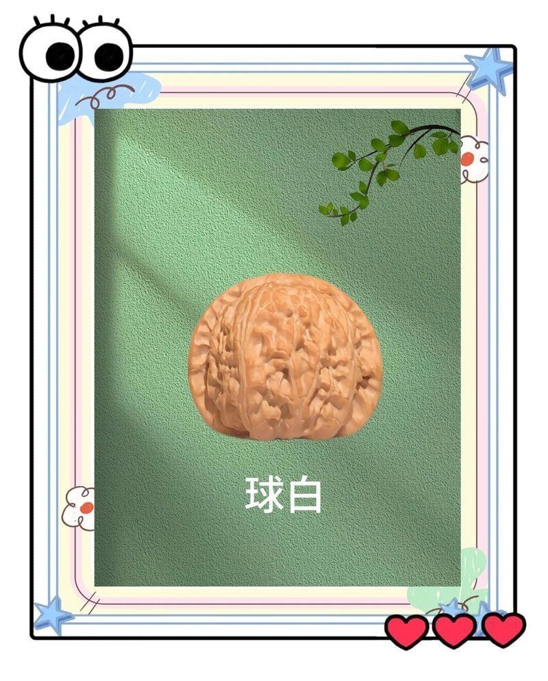 紅獅子和白獅子區別 紅獅子和白獅子區別 龍魚論壇 第3張
