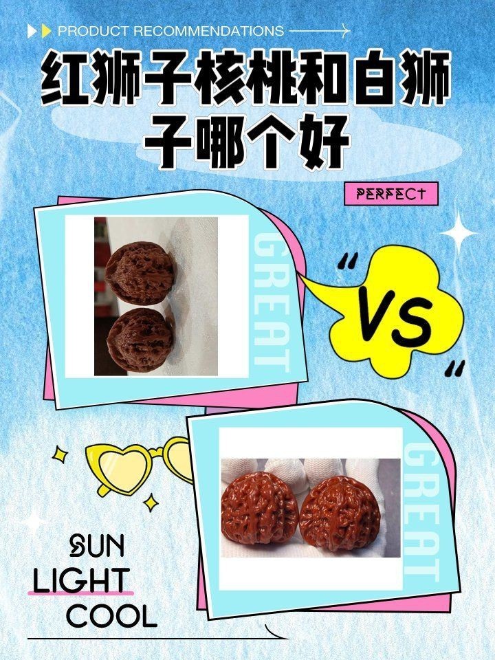 紅獅子和白獅子區別 紅獅子和白獅子區別 龍魚論壇 第6張