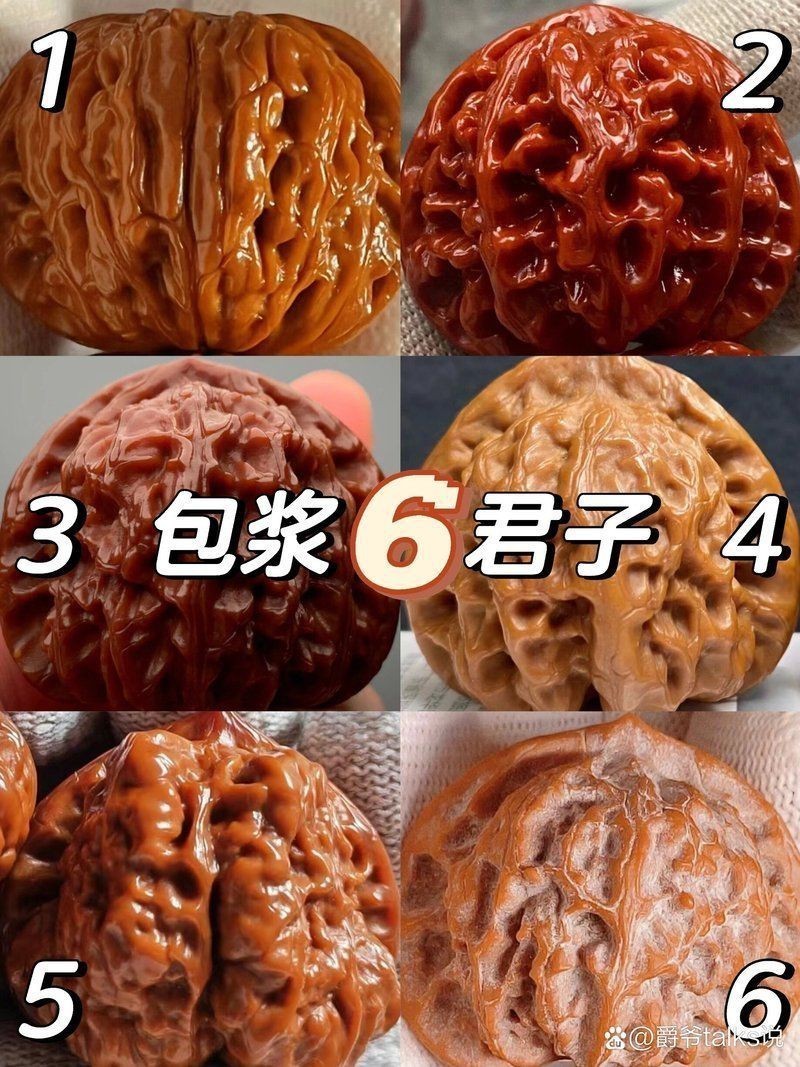紅獅子和白獅子區別 紅獅子和白獅子區別 龍魚論壇 第10張