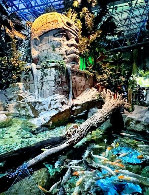 北京海洋館有哪些特色展區？