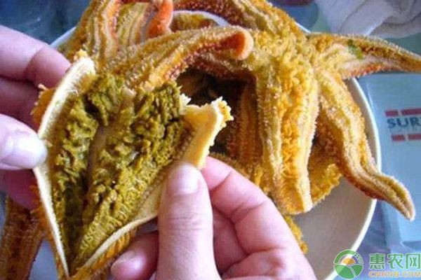 海星的飼養與護理技巧：養海星的注意事項 海星的飼養與護理技巧：養海星的注意事項 魚缸百科 第2張