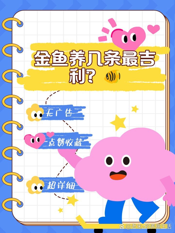 金魚(yú)養(yǎng)幾條一缸最吉利