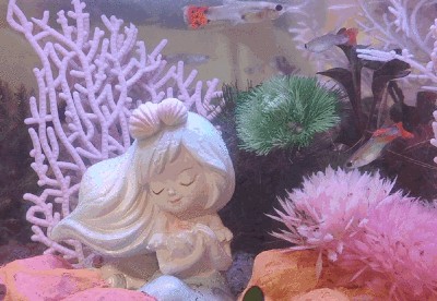畫法幾何魚缸兩棲版評測：畫法幾何智能模塊化魚缸兩棲版