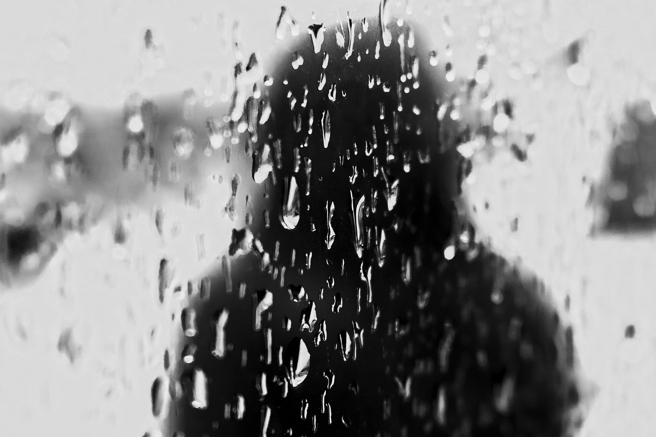 熱帶雨最勁爆的畫(huà)面片段