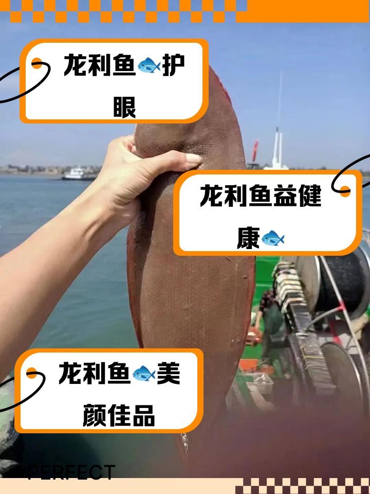 吃龍利魚的好處和壞處 吃龍利魚的好處和壞處 龍魚論壇 第4張
