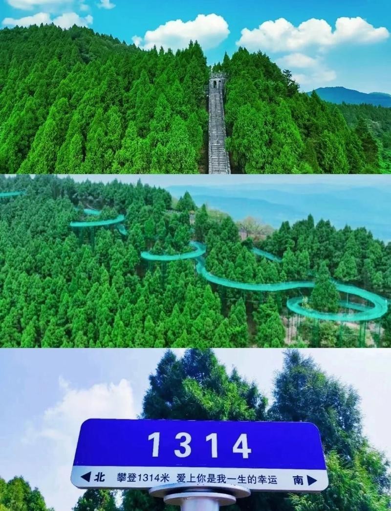 金龍長城有哪些娛樂項目？