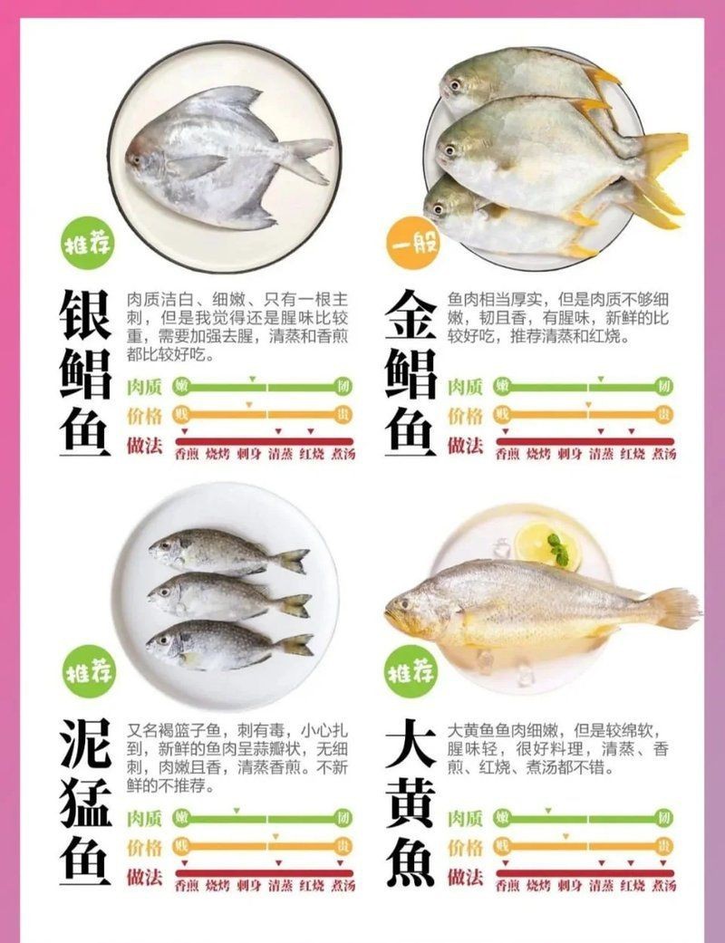 紅鯛魚學名 紅鯛魚學名 龍魚論壇 第8張
