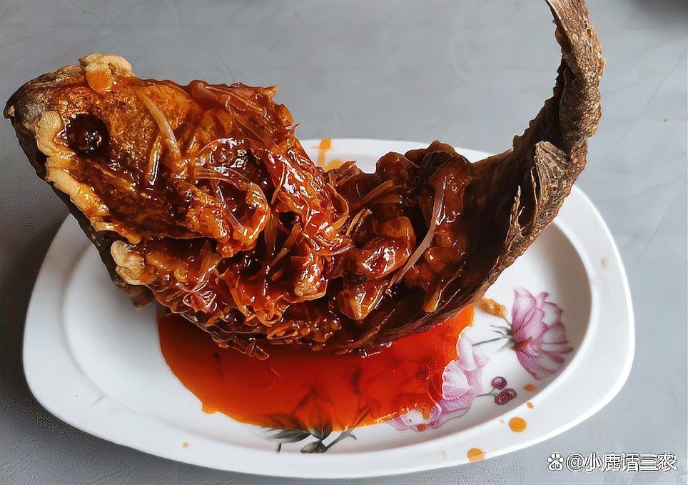 紅鯛魚學名 紅鯛魚學名 龍魚論壇 第10張