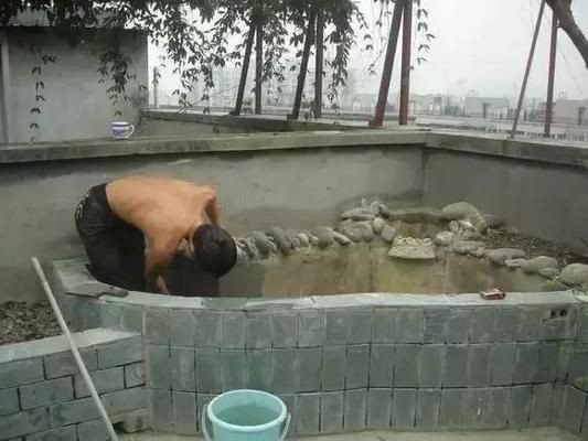 魚缸水質管理技術：養魚筆記第4季21集：魚缸過濾器及其適用水質管理技巧