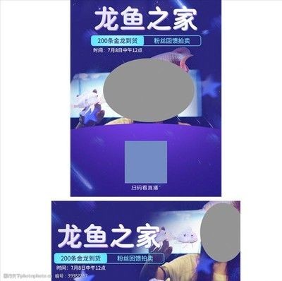 龍魚掃碼什么意思：——龍魚掃碼器使用方法 龍魚掃碼什么意思：——龍魚掃碼器使用方法 龍魚百科 第1張