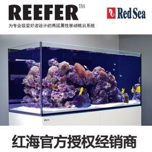 紅海魚缸的售后服務是怎樣的？：紅海魚缸用戶評價分析用戶評價是了解產品和服務質量的重要依據