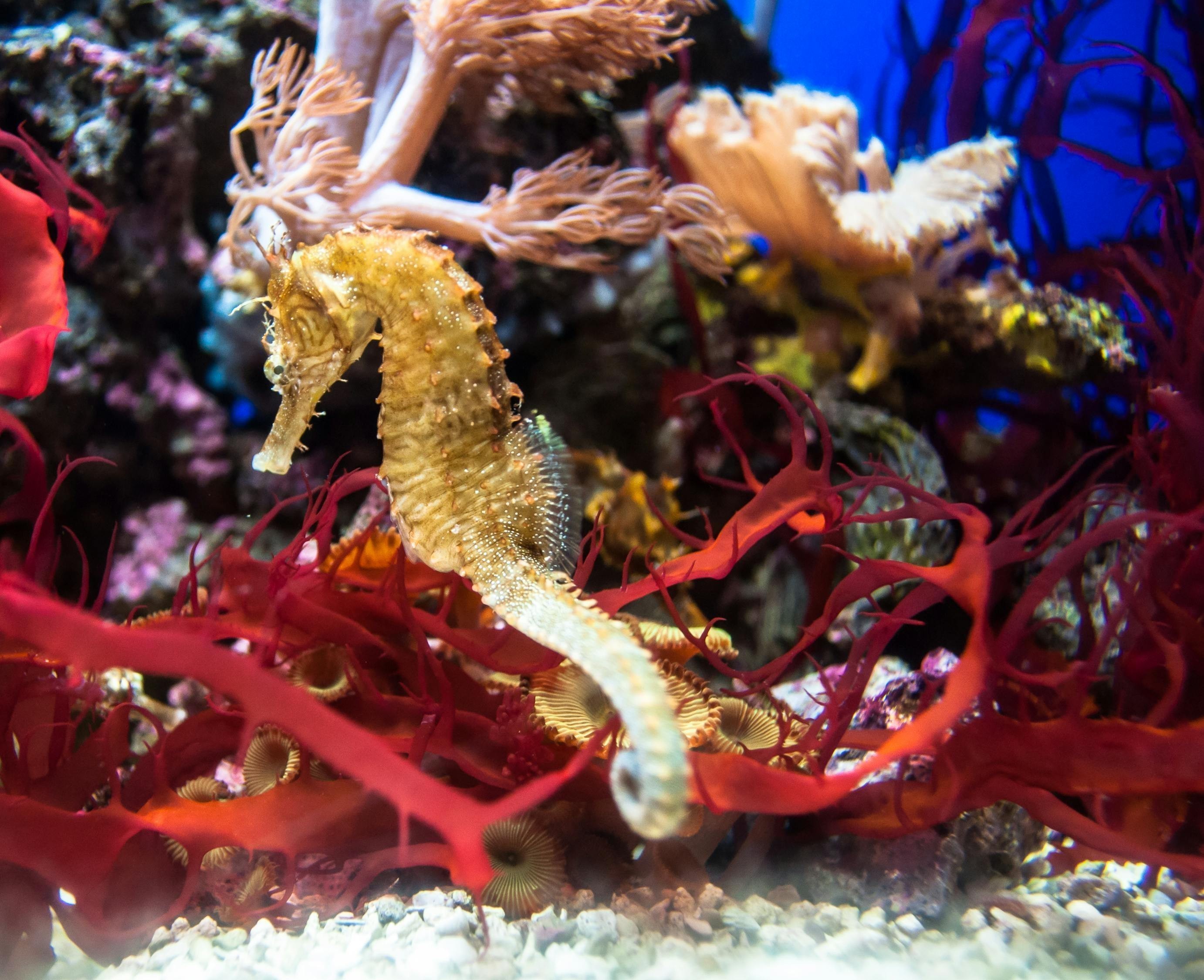 <strong><mark>深圳</mark></strong>市福田區(qū)李后偉餃子店