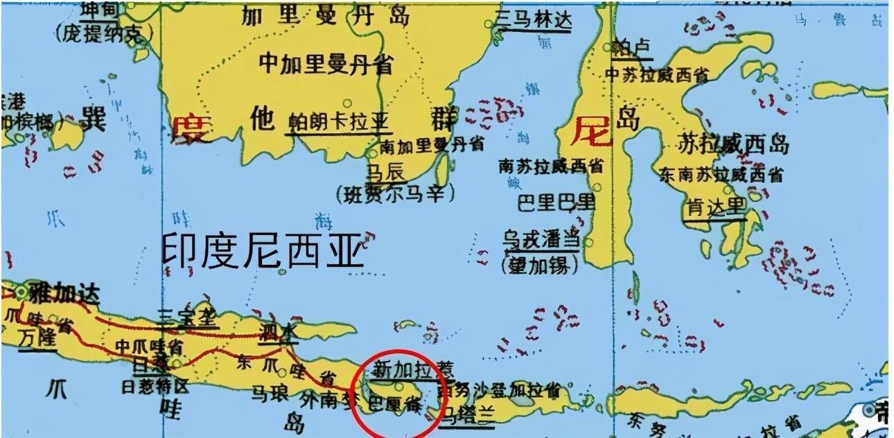 龍魚產地坤甸是哪里的：印尼坤甸是龍魚的原產地之一