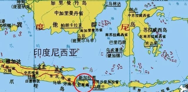 龍魚產地坤甸是哪里的：印尼坤甸是龍魚的原產地之一