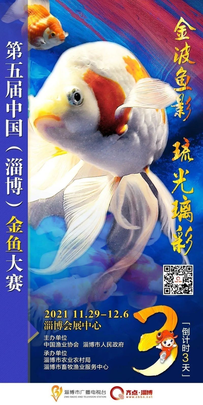 世界金魚大賽有哪些參賽品種？ 世界金魚大賽有哪些參賽品種？ 2025長城杯龍魚大賽 第3張