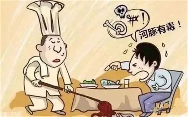 淡水河豚有沒有毒 淡水河豚有沒有毒 龍魚論壇 第9張