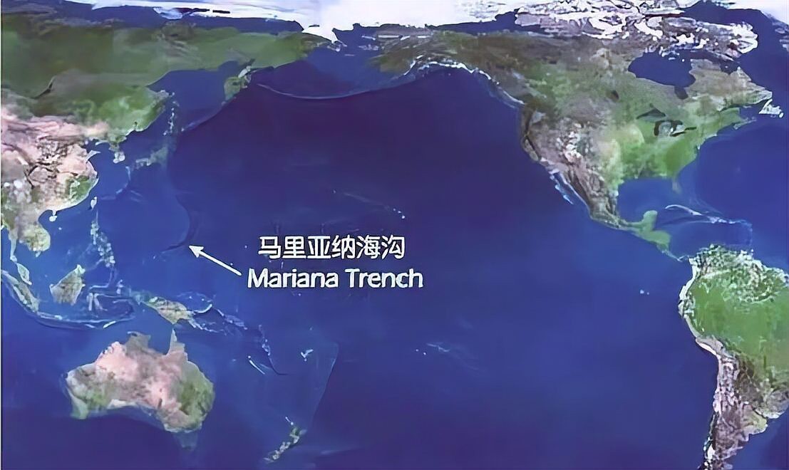 張北海淼水族館：張北海淼水族館電話 張北海淼水族館：張北海淼水族館電話 全國水族館企業名錄 第1張