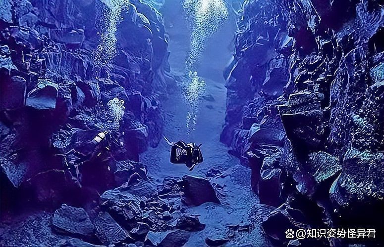 張北海淼水族館：張北海淼水族館電話 張北海淼水族館：張北海淼水族館電話 全國水族館企業名錄 第5張
