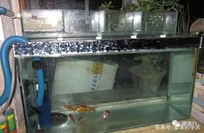 魚缸過濾系統配置技巧：如何清洗魚缸過濾器，魚缸過濾系統常見故障排查