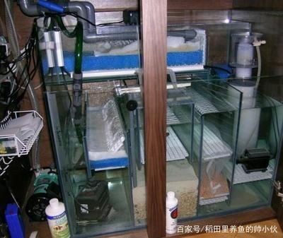 魚缸過濾系統配置技巧：如何清洗魚缸過濾器，魚缸過濾系統常見故障排查