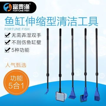 有沒有關于埋魚的宗教解釋，埋魚的宗教解釋