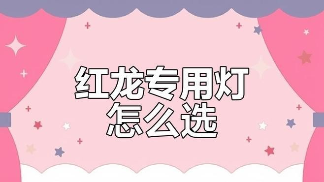 綠皮紅龍魚飼養難度如何? 2025長城杯龍魚大賽 第5張 綠皮紅龍魚飼養難度如何? 綠皮紅龍魚飼養難度如何? 2025長城杯龍魚大賽 第5張