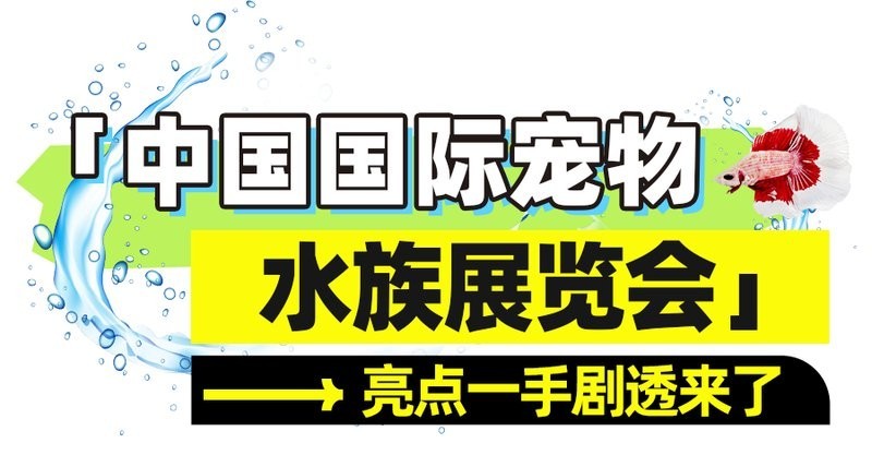 2024年廣州龍魚展會哪個更值得參加? 2025長城杯龍魚大賽 第2張 2024年廣州龍魚展會哪個更值得參加? 2024年廣州龍魚展會哪個更值得參加? 2025長城杯龍魚大賽 第2張
