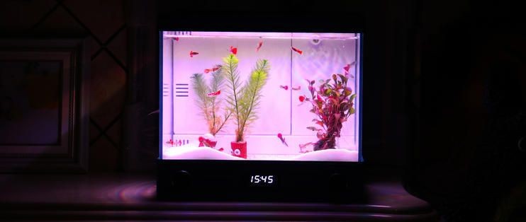 漢霸的魚缸怎么樣：漢霸魚缸適合養哪些魚類