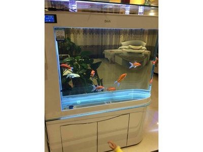 可麗愛魚缸維修點(diǎn)查詢官網(wǎng)電話，可麗愛魚缸常見故障及解決方法