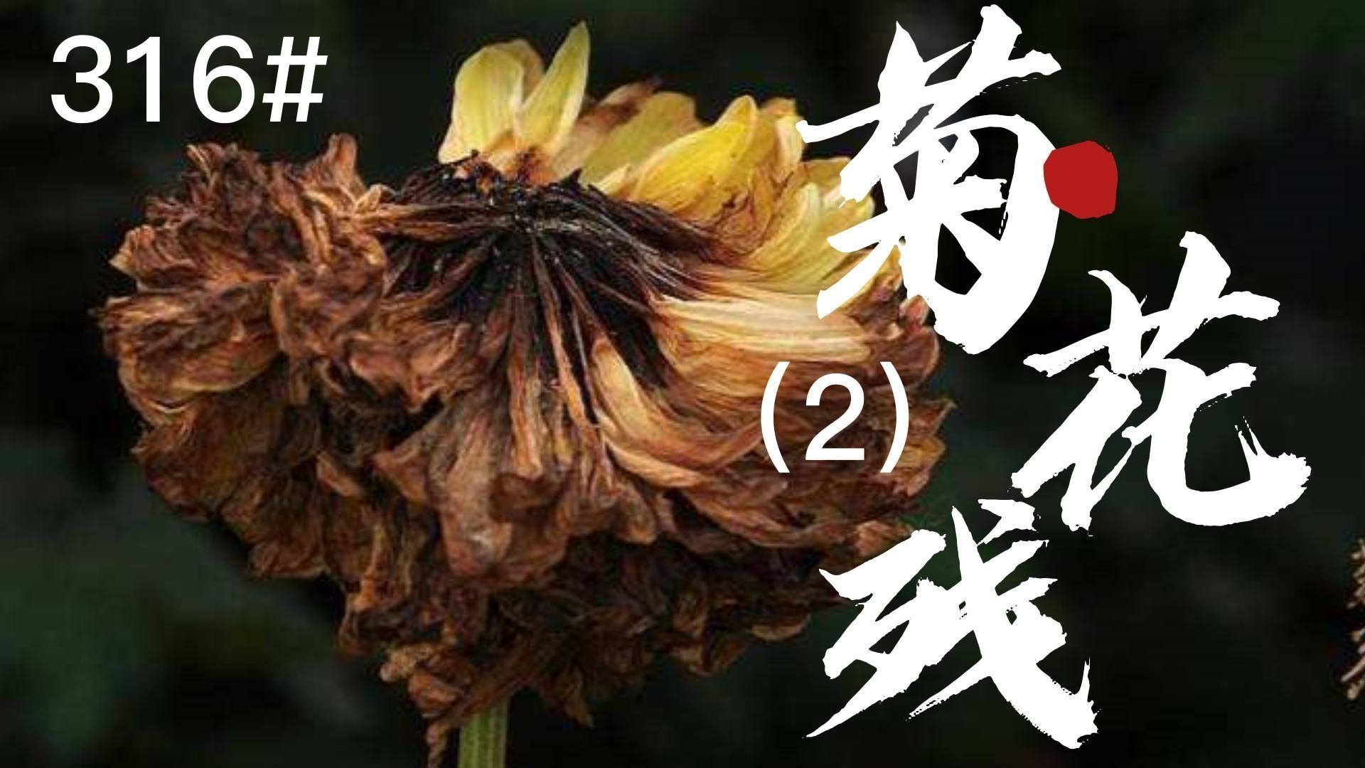 龍魚脫膜期間需要停食嗎？